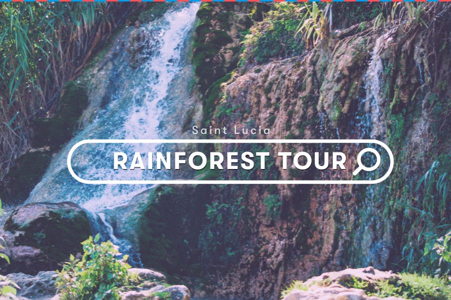 Saint Lucia Activities: Rainforest Tram Adventure